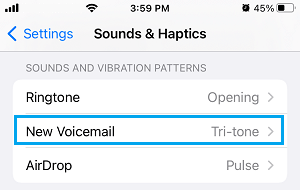 更改 iPhone 上的语音邮件警报声音选项