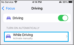 iPhone 上的驾驶模式设置选项
