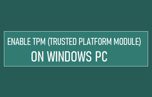 在 Windows PC 上启用 TPM（可信平台模块）