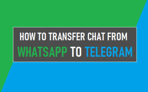 如何将聊天从WhatsApp转移到Telegram