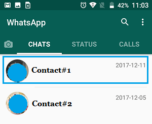 Android 手机上 WhatsApp 中的聊天选项卡