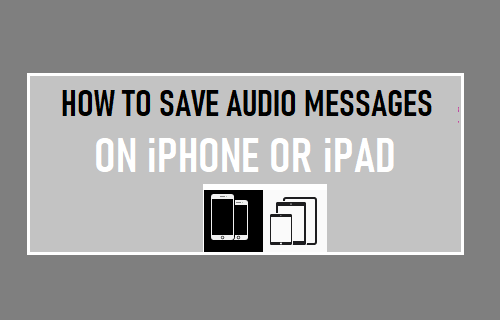 在 iPhone 或 iPad 上保存音频信息