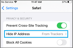 在 iPhone Safari 上隐藏 IP 地址选项