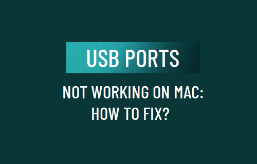 USB 端口在 Mac 上不工作