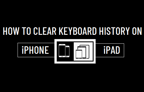 清除 iPhone 和 iPad 上的键盘历史记录