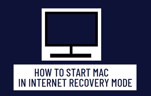 在 Internet 恢复模式下启动 Mac