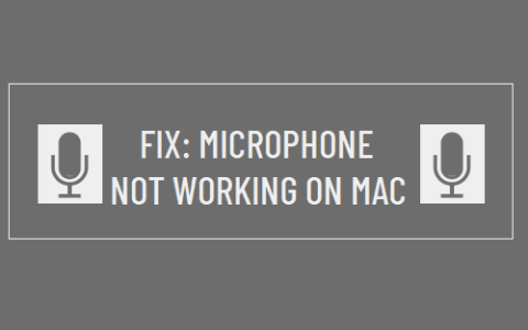 麦克风在Mac上不工作（苹果笔记本麦克风没声音修复）