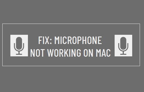 麦克风在 Mac 上不工作