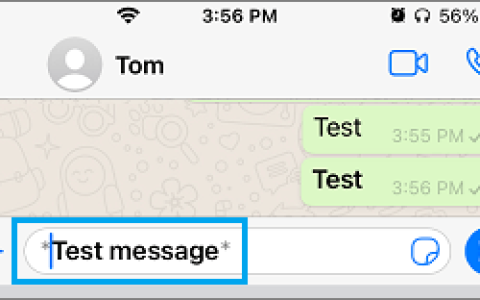 如何在WhatsApp中使用粗体、斜体和删除线