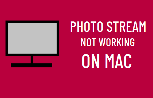 照片流在 Mac 上不工作