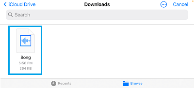 iCloud 下载文件夹中的歌曲