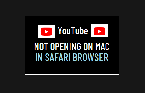 YouTube 无法在 Mac 上的 Safari 浏览器中打开