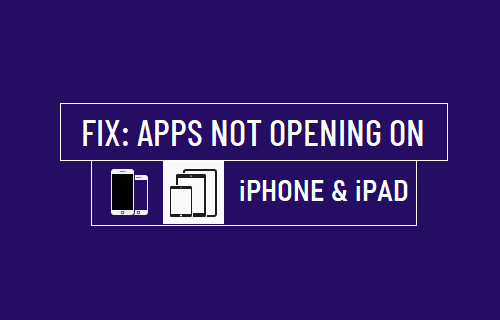 应用程序无法在 iPhone 或 iPad 上打开