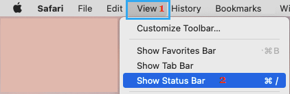 在 Mac 上的 Safari 浏览器中显示状态栏选项