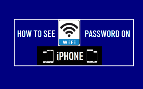如何在苹果iPhone上查找WiFi密码