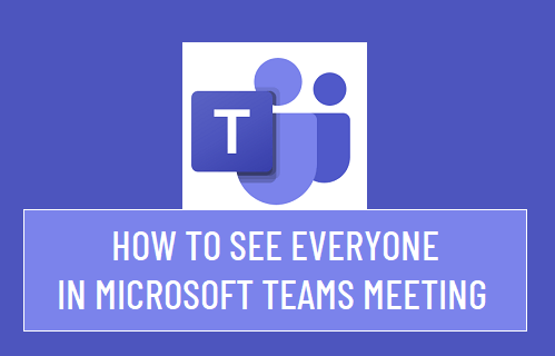 在 Microsoft Teams 会议中查看所有人