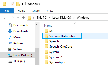 Windows 10 中的 SoftwareDistribution 文件夹