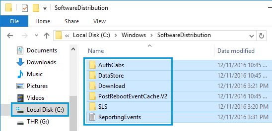 位于 Windows 10 SoftwareDistribution 文件夹中的文件
