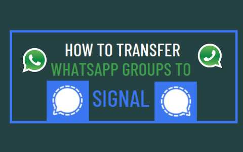 如何将WhatsApp组转移到Signal