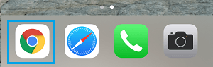 iPhone Dock 中的 Chrome 图标