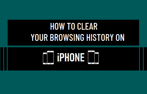 清除 iPhone 上的浏览​​历史记录
