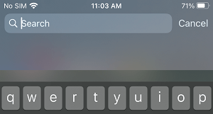 没有 Siri 建议的 Spotlight 搜索屏幕
