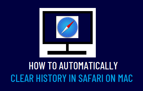 在 Mac 上的 Safari 中自动清除历史记录