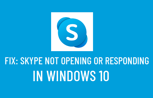 修复：Skype 在 Windows 10 中无法打开或响应