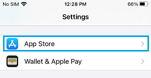 iPhone 上的 App Store 设置选项
