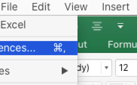 修复：Excel在启动时在Mac上打开多个文件