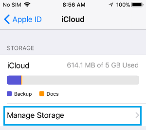 在 iPhone 上管理 iCloud 存储选项
