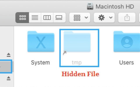 如何在苹果Mac电脑上显示隐藏文件