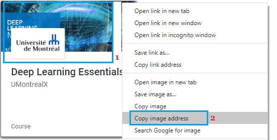 Chrome 中的复制图像地址选项