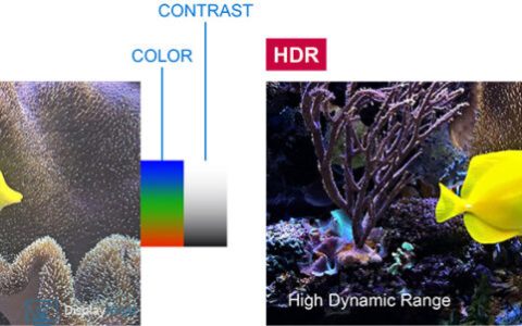 显示器HDR是什么意思（HDR技术及工作原理解释 ）