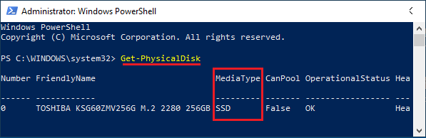 运行 Get-PhysicalDisk PowerShell 命令