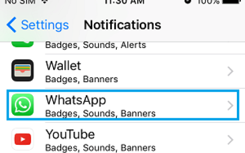 WhatsApp通知不适用于iPhone手机