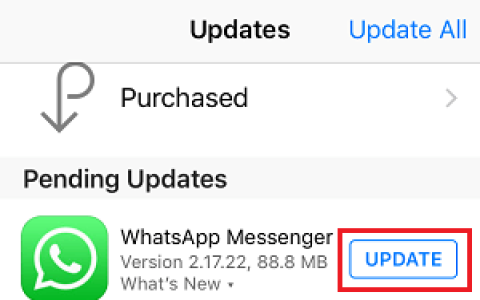 如何在iPhone和安卓手机上更新WhatsApp