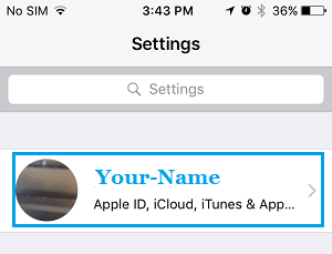 iPhone 设置屏幕上的 Apple ID 名称