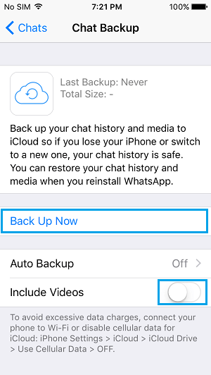 将 iPhone 上的 WhatsApp 消息手动备份到 iCloud Drive