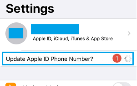 在iPhone上更新苹果ID电话号码通知