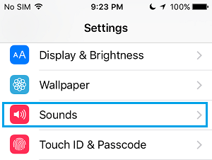 iPhone 设置屏幕上的声音选项