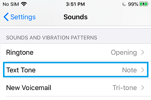 iPhone 上的文本音设置选项