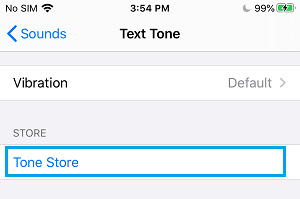 iPhone 设置屏幕上的音调存储选项