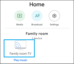 Google Home 应用中的 Chromecast 设置选项