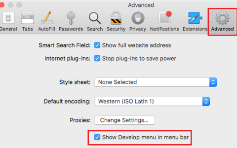 Mac电脑怎么开启safari开发模式（苹果3步打开发者菜单）