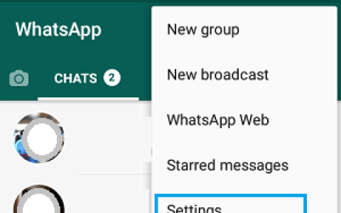 阻止WhatsApp在安卓手机上保存照片