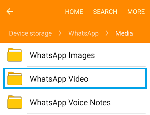 Android 手机上的 WhatsApp 视频文件夹