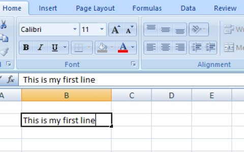 如何在Excel单元格中开始新行（运用方法）