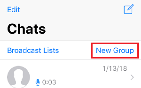 如何在苹果iPhone上创建WhatsApp群组