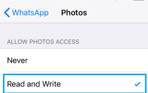 WhatsApp照片无法在iPhone上保存